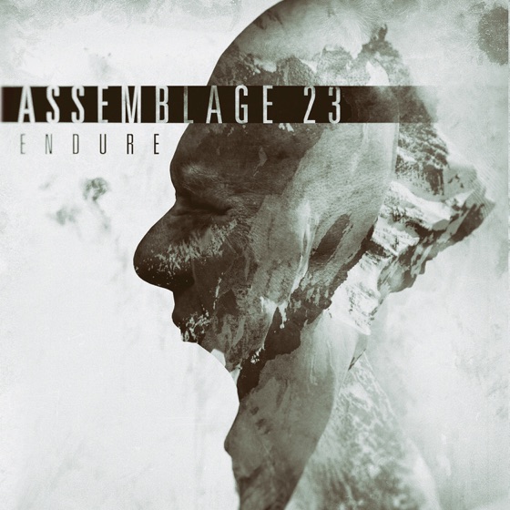 Cover artwork for Barren