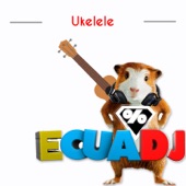 Ukelele artwork