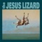 Countless Backs of Sad Losers - The Jesus Lizard lyrics