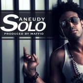 Aneudy - Solo
