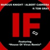 If (feat. Tom Gray) - EP