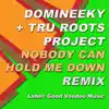 Nobody Can Hold Me Down (Domineeky Remix) song lyrics