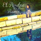 El Perdón (Remix) - Single