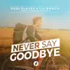 Never Say Goodbye (feat. Vanessa Correia) song lyrics
