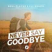 Never Say Goodbye (feat. Vanessa Correia) artwork