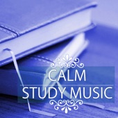 Calm Study Music - Top 50 Songs for Concentration, Deep Brain Stimulation and Exam Preparation artwork