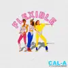 Flexible (feat. P-LO & Myles Parrish) song lyrics