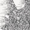 Michal Wolski - Mer De Corail