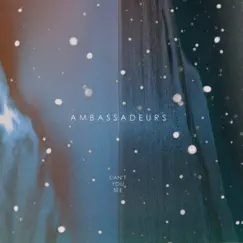 Can't You See - Single by Ambassadeurs album reviews, ratings, credits