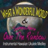 What a Wonderful World & Somewhere Over the Rainbow [Instrumental Hawaiian Ukulele Medley] - Single