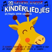 20 Nederlandse Kinderliedjes artwork