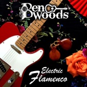 Electric Flamenco artwork