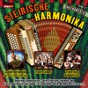 Steirische Harmonika, Vol. 2 (Instrumental)
