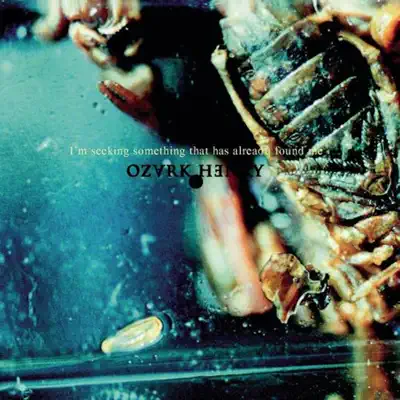 I'm Seeking Something That Has Already Found Me - Ozark Henry