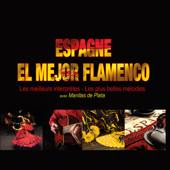 Espagne: El mejor flamenco (Les meilleurs interprètes, les meilleures mélodies) - Multi-interprètes
