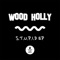 S.T.U.P.I.D - Wood Holly lyrics