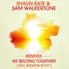 We Belong Together (Remixes) [feat. Addison Scott] - EP album lyrics, reviews, download