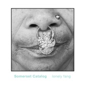 Somerset Catalog - Shaking Windows