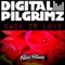 Back in Love (Jay Faded Remix) - Digital Pilgrimz lyrics