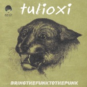 Bring the Funk to the Punk (Pand3lescu Remix) artwork