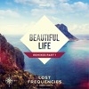 Lost Frequencies - Beautiful Life (feat. Sandro Cavazza)