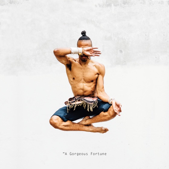 Cover artwork for FoolMoon