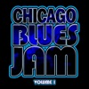Chicago Blues Jam - Rockin' Robin