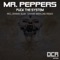 Fuck the System (Dennis Slim Remix) - Mr. Peppers lyrics