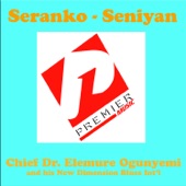 Seranko - Seniyan artwork