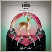 Youth (Alex Hook Remix) artwork