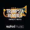 Trumpsta (NYMZ Remix) song lyrics