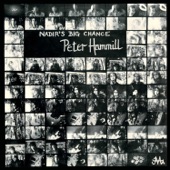 Peter Hammill - The Institute of Mental Health, Burning