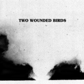 Two Wounded Birds - Night Patrol