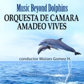 The Beautiful Blue Danube, Op. 314 (Arranged for String Orchestra) artwork