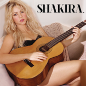 Can't Remember to Forget You (feat. Rihanna) [Album] - Shakira