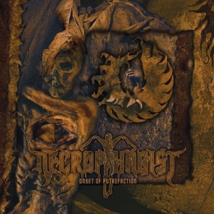 Onset of Putrefaction