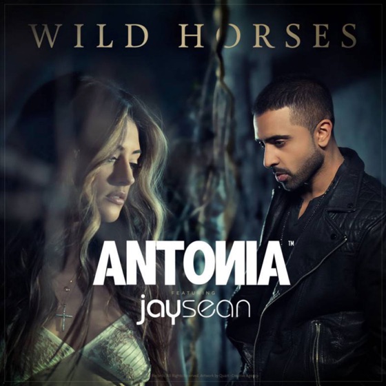 Cover artwork for Wild Horses (feat. Jay Sean)