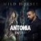 Wild Horses (feat. Jay Sean) - Antonia lyrics