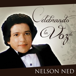 Nelson Ned - Quien Eres Tu?