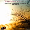 Chill Out Experiences Volume.10