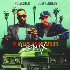 Players Anonymous (feat. Dom Kennedy) [Remix] Song Lyrics