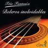 Trio Fantasia - Me Estás Haciendo Falta
