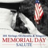 Memorial Day Salute