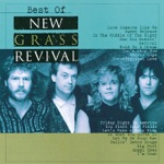 New Grass Revival - Friday Night in America