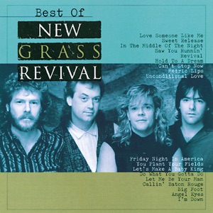 New Grass Revival - Love Someone Like Me - Line Dance Musik