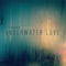 Underwater Love (Tim Angrave Immersed Remix) - Thomas Lemmer lyrics