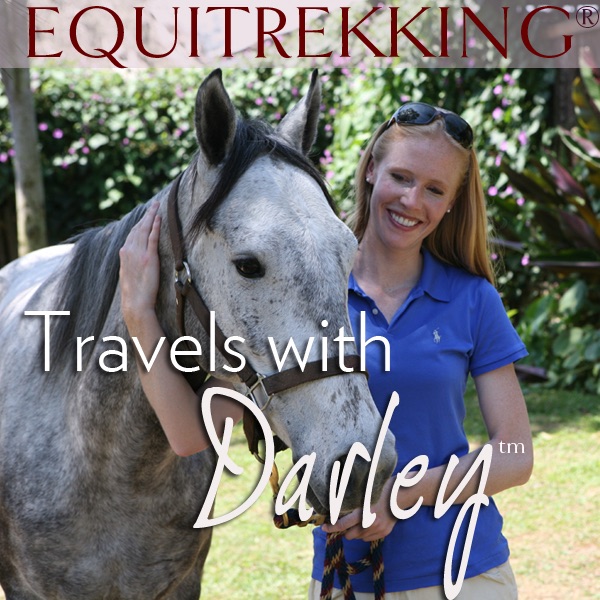 Equitrekking: Travels with Darley cover