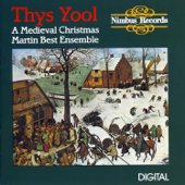 Thys Yool: A Medieval Christmas - Martin Best Ensemble