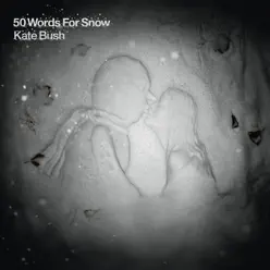 50 Words for Snow - Kate Bush