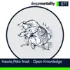 Open Knowledge - Single album lyrics, reviews, download